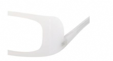 ALEXANDER MCQUEEN 4142 in color LFK00