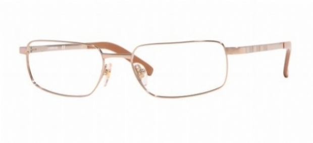 LUXOTTICA TITANIUM 1396T in color 4030