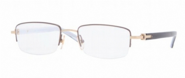 LUXOTTICA TITANIUM 1410T in color 4096