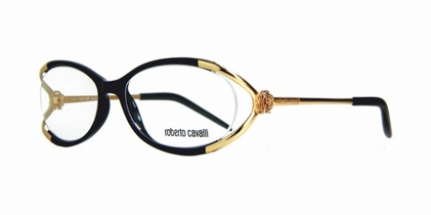 ROBERTO CAVALLI CAVANSITE 498 in color 001