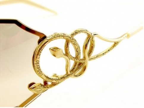 ROBERTO CAVALLI CAOS 222S in color 160