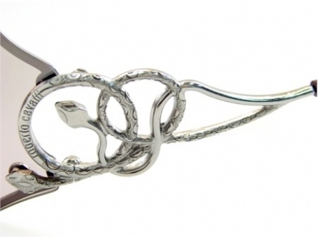 ROBERTO CAVALLI CAOS 222S in color JO6